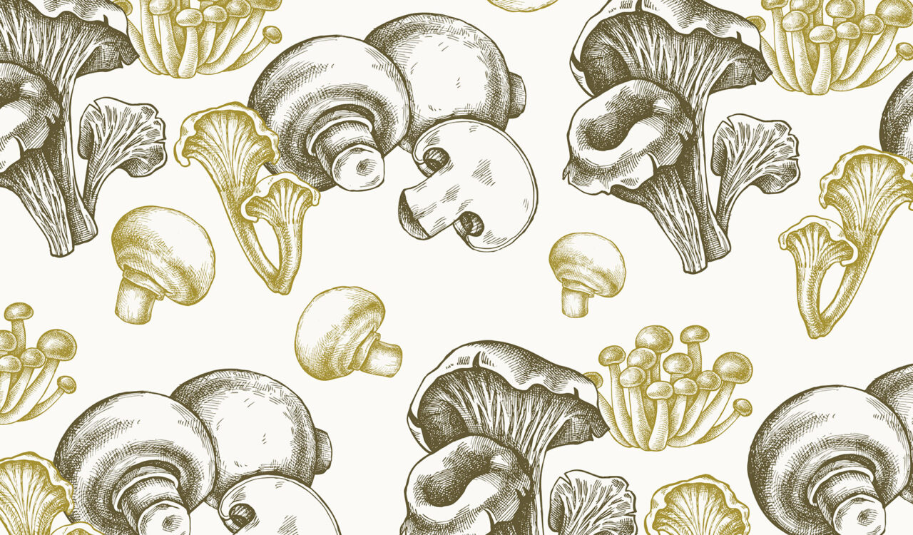 Grafische Darstellung von Pilzen
