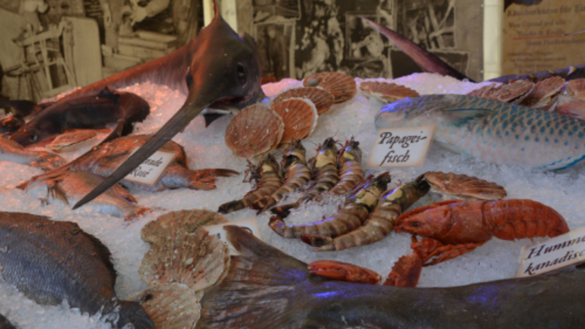 Fischbett auf der Fischparty im Schaufenster Fischereihafen