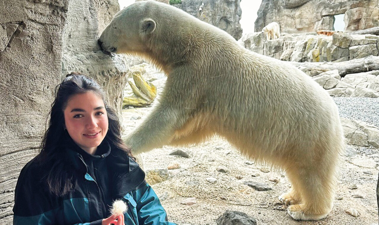 Zoo-Guide vorm Eisbärgehege