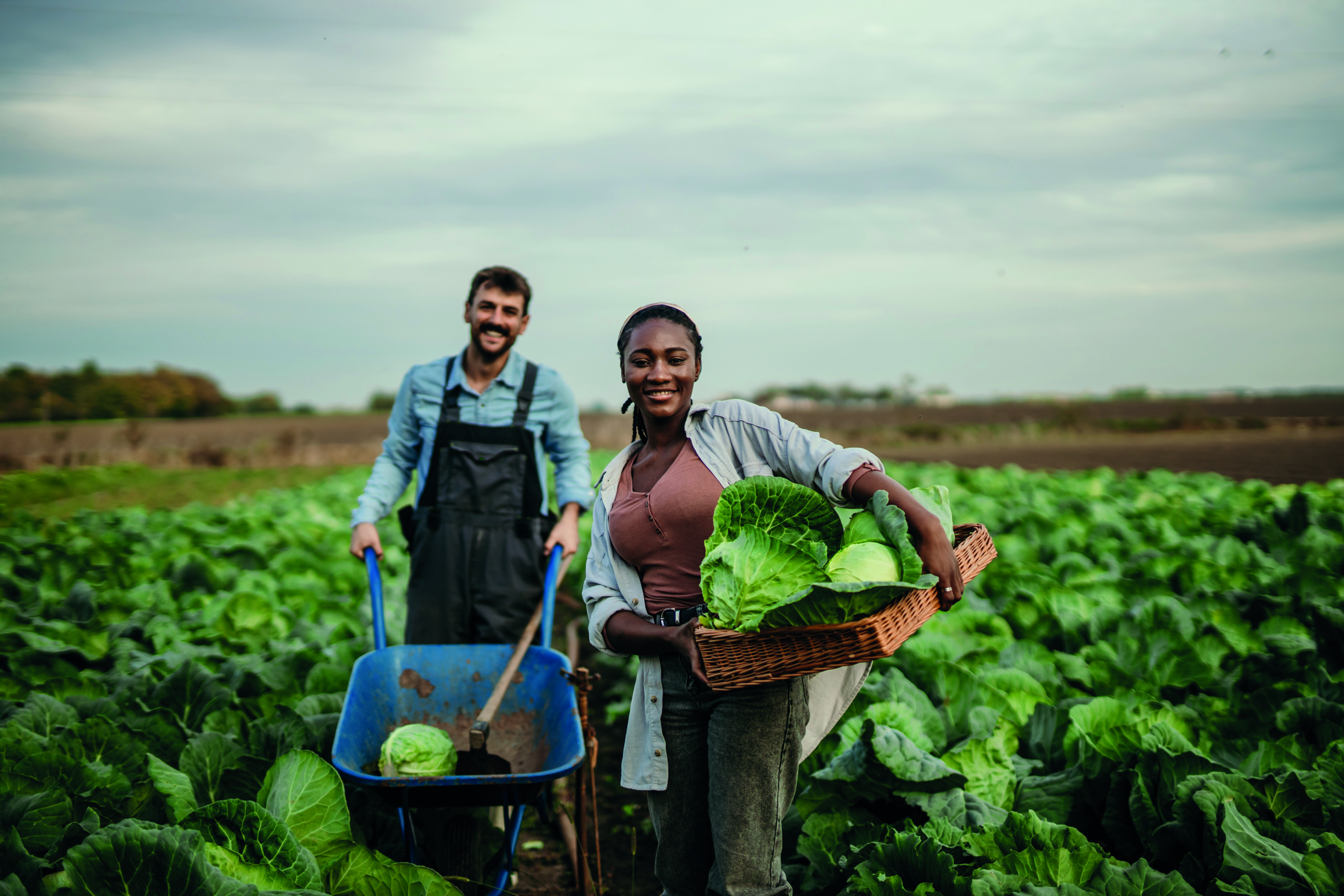 Frisch und lecker: Lebensmittel aus der Region