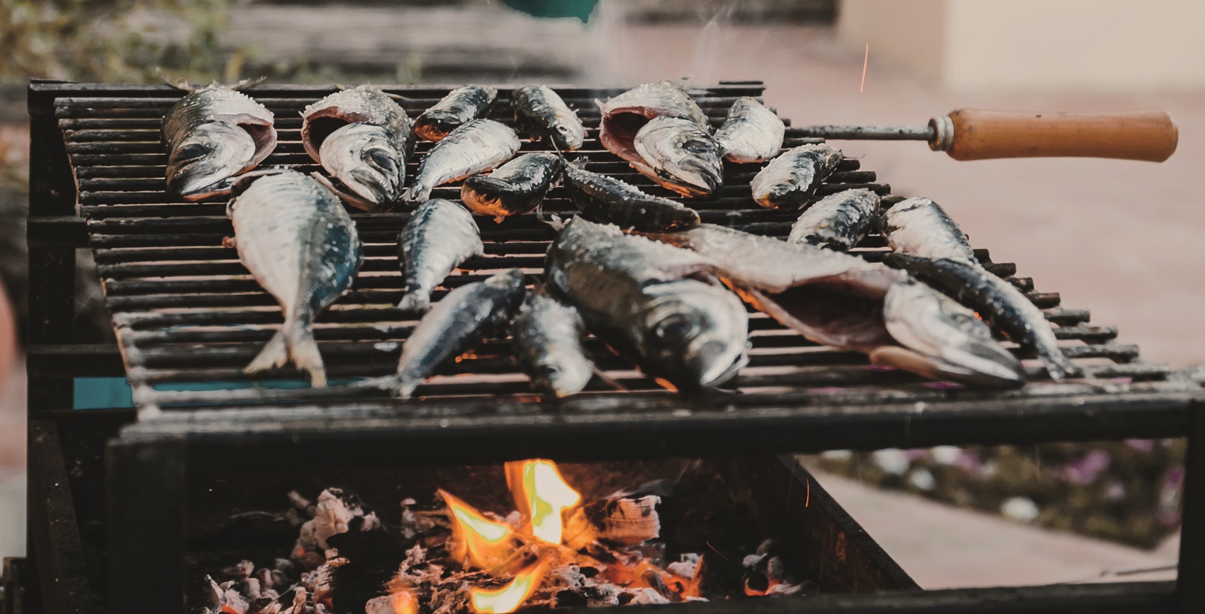 Der Fisch entscheidet: Grillen nach dem Fang des Tages